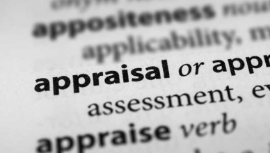 domain name appraisal