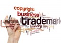 trademarked domain names