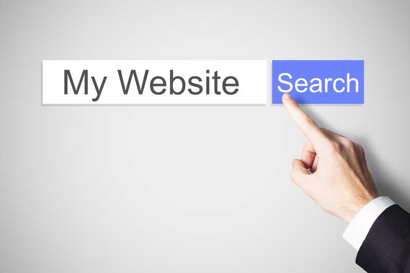 website search website search