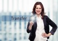 domain transfer