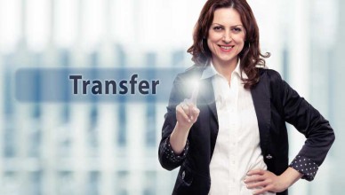 domain transfer